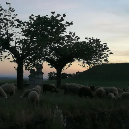 Casa Do Ti Messias Tatil Evi *