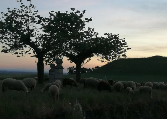 Casa Do Ti Messias Holiday home *