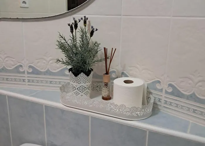 Casa Do Ti Messias Holiday home Almeida